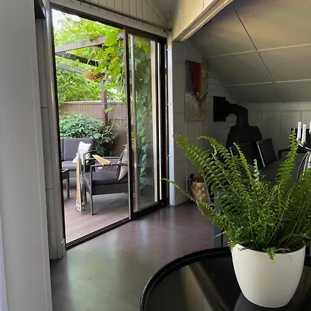 Summer In The Heart Of *