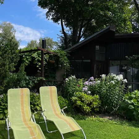 Summer In The Heart Of Apartment