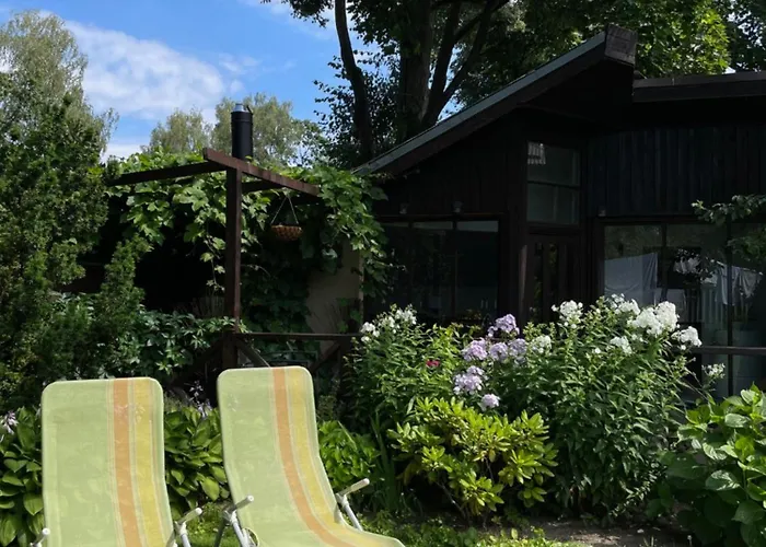 Summer In The Heart Of Apartment